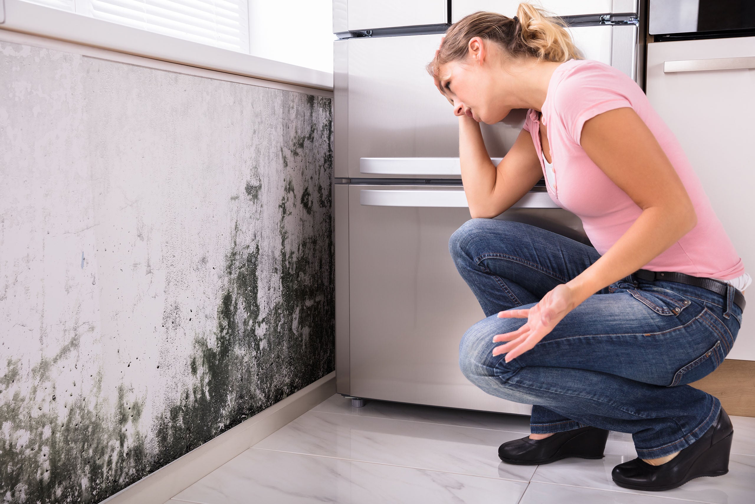 Rising Damp
