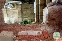 Mosman Subfloor Ventilation Installation | Eliminate Dampness for Under $3,000